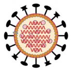 Corona-Virus